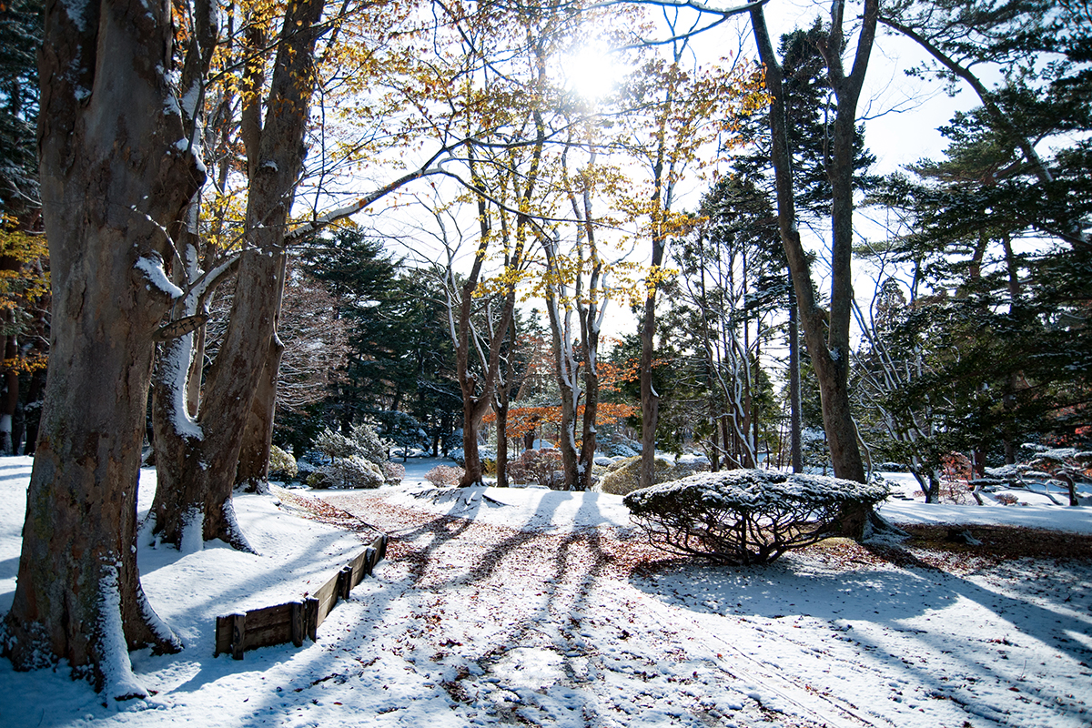 雪が降った後の見晴公園
