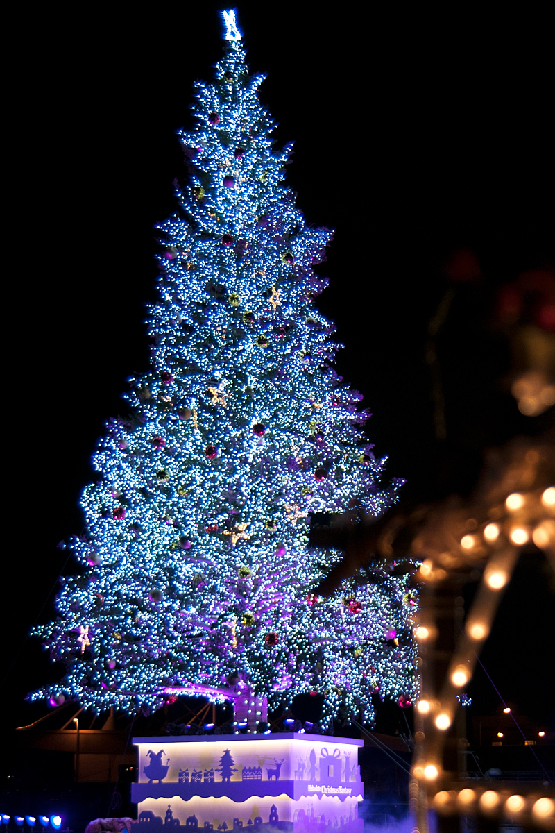 函館クリスマスファンタジーのツリー
