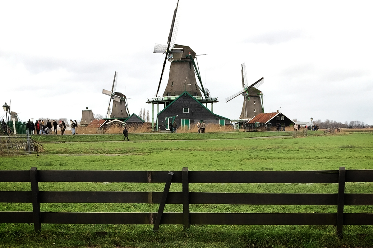 アムステルダムの旅５日目～風車を見に行く