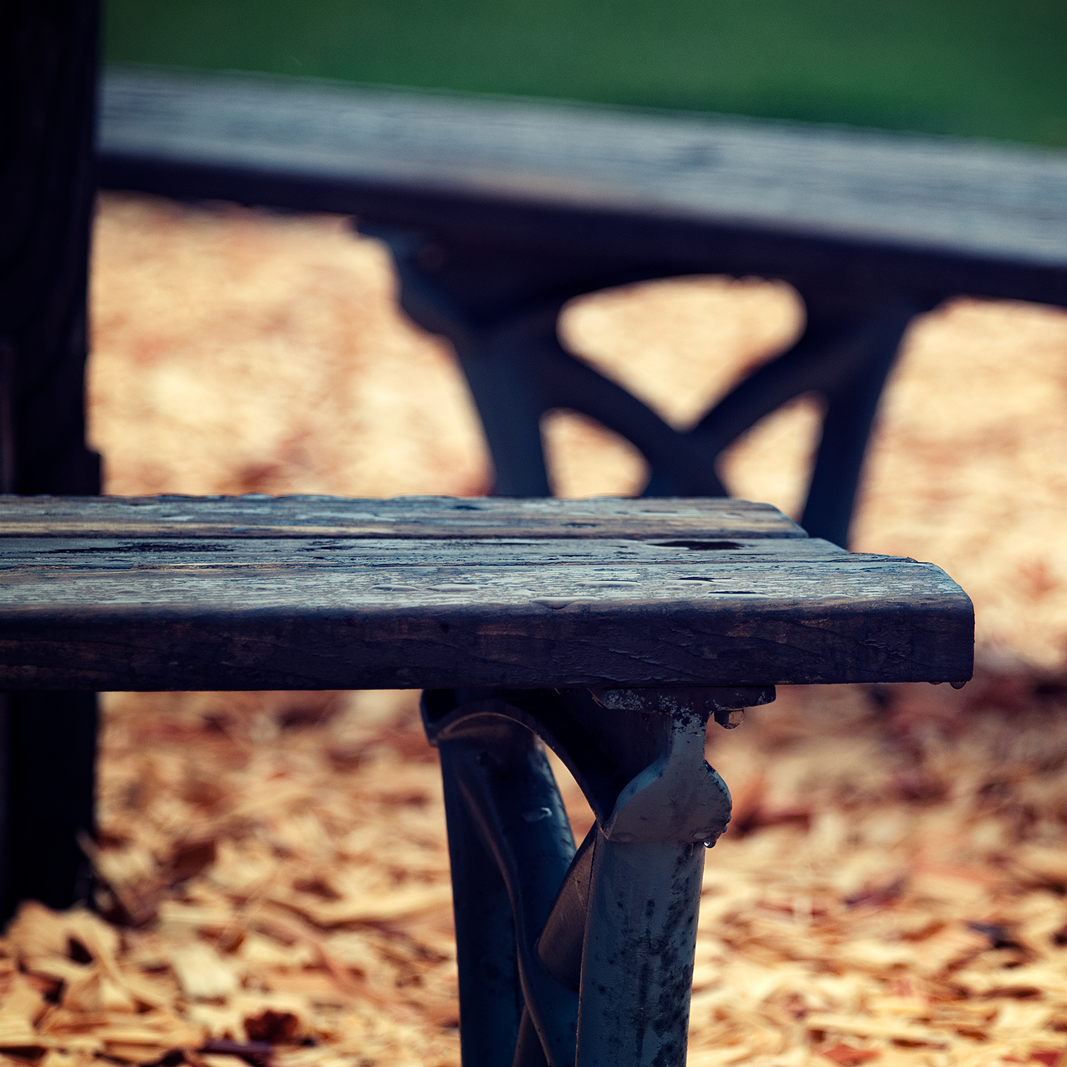昭和公園の古びたベンチ